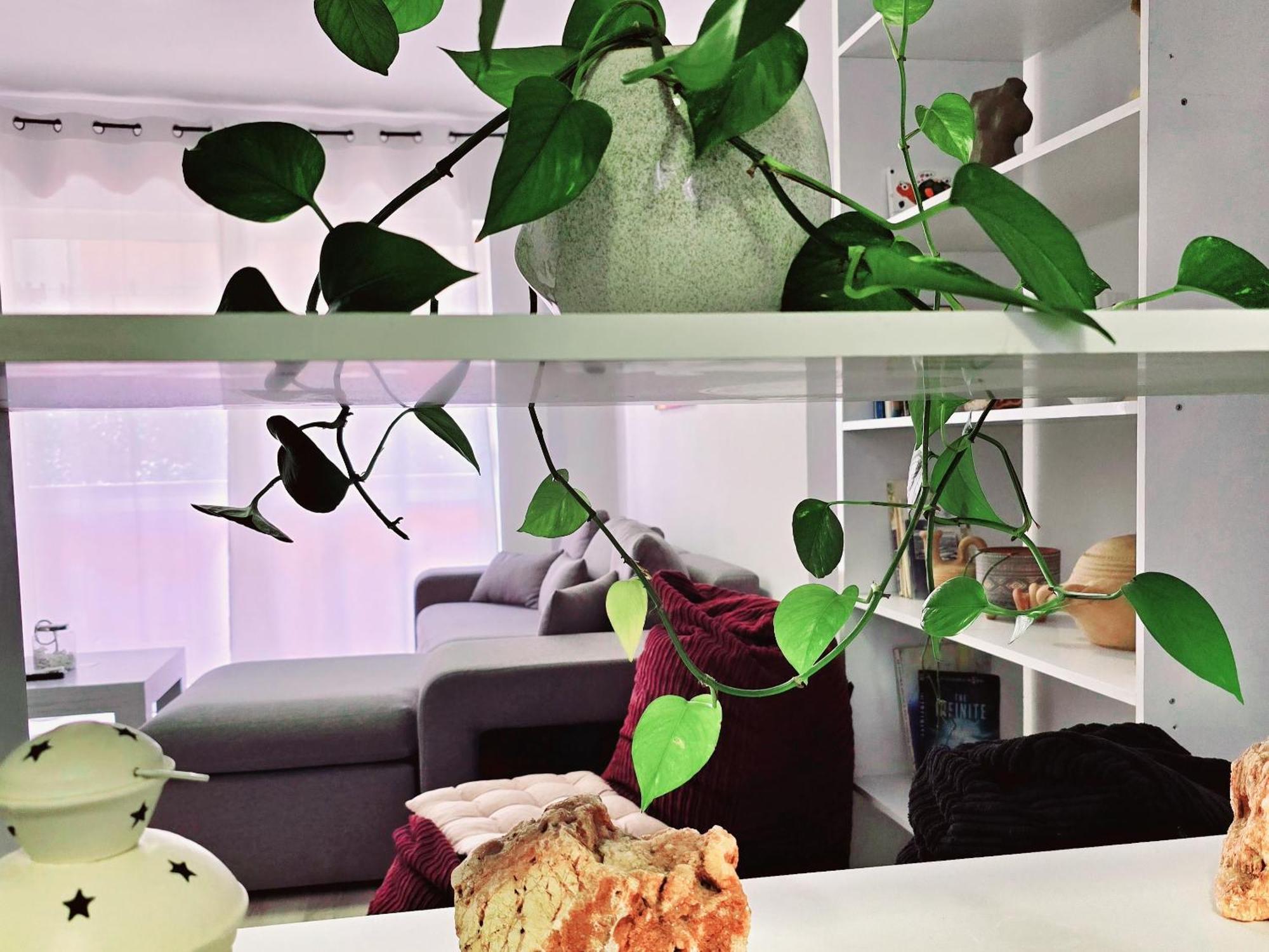 Apartment Micasatucasa Tirana